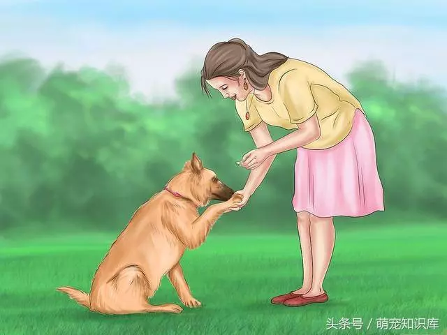 二分鐘告訴你:如何訓練狗狗到固定地方大小便!
