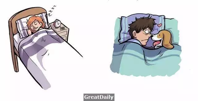 愛狗和喜歡狗,其實差很大,看完你便明白!