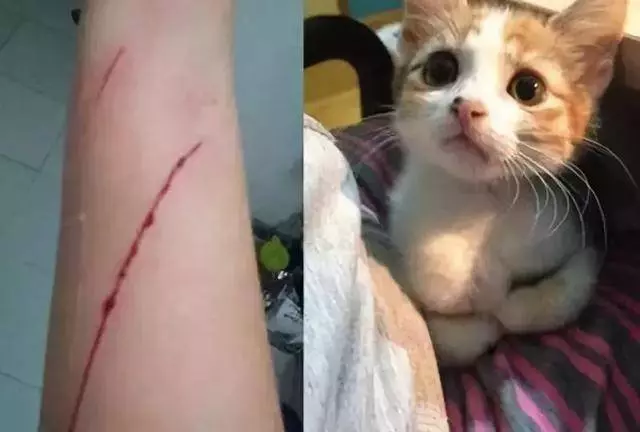 不撓你,那還能算是主子嗎?