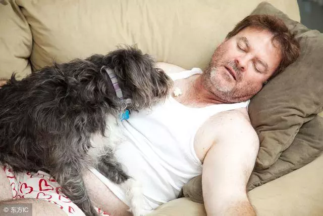 狗狗為什麼這樣睡?狗狗的6種睡姿看出與你的關係,你家是哪種?