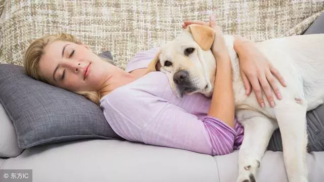 狗狗為什麼這樣睡?狗狗的6種睡姿看出與你的關係,你家是哪種?
