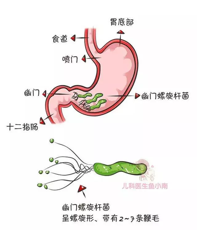 你還經常親吻寶寶? 小心病從口出