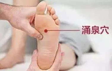 腎不夠好的男人,酒里隨便泡一把,50歲的男人20歲的腎