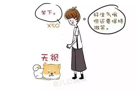 學會這6招,讓狗狗乖乖聽話!