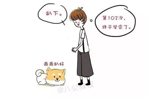 學會這6招,讓狗狗乖乖聽話!