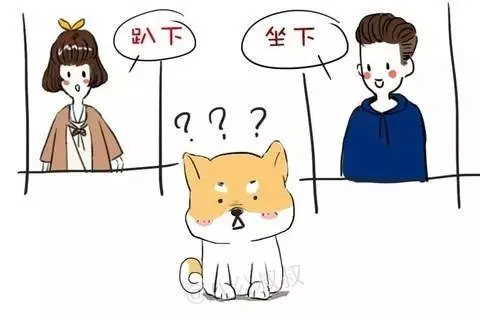 學會這6招,讓狗狗乖乖聽話!