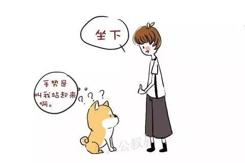 學會這6招,讓狗狗乖乖聽話!