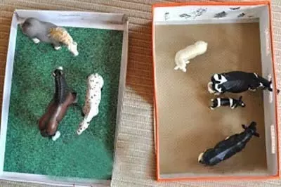 空鞋盒不要再扔了!它原來可以做成這些超實用、又好玩的東西!今天才知道它有這麼多用處