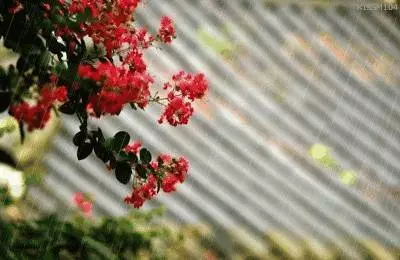 有人懂你,就是幸福 !