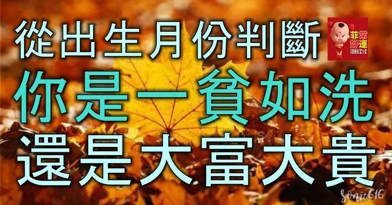 從出生月份判斷,你是一貧如洗,還是大富大貴?