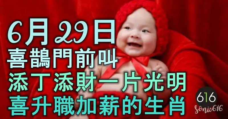 6月29日起喜鵲門前叫,添丁添財,一片光明,喜升職加薪的生肖