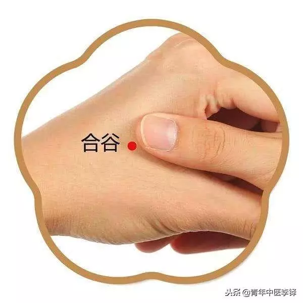 深入研究「合谷穴」的作用特點,為什麼說「面口合谷收」?