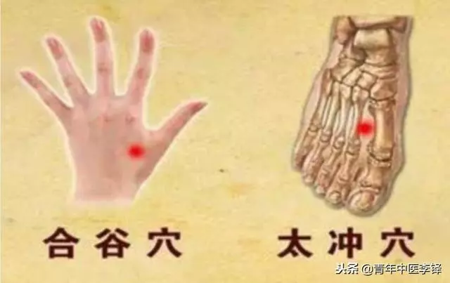 深入研究「合谷穴」的作用特點,為什麼說「面口合谷收」?