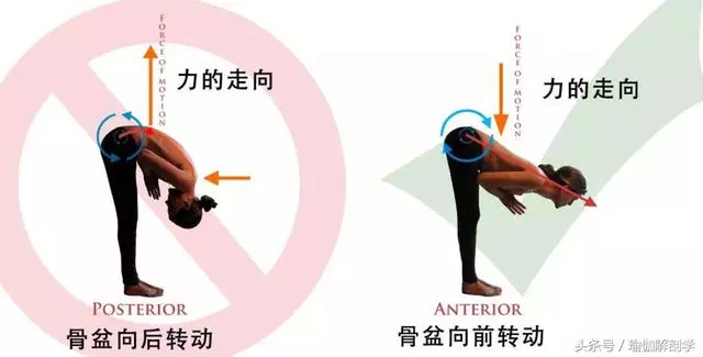 練瑜伽,學會轉動骨盆這個小竅門很重要!