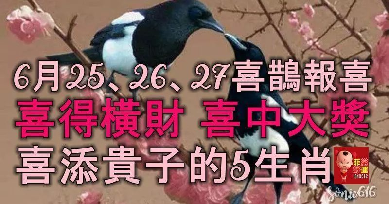 6月25、26、27號喜鵲報喜,喜得橫財,喜中大獎,喜添貴子的5大生肖