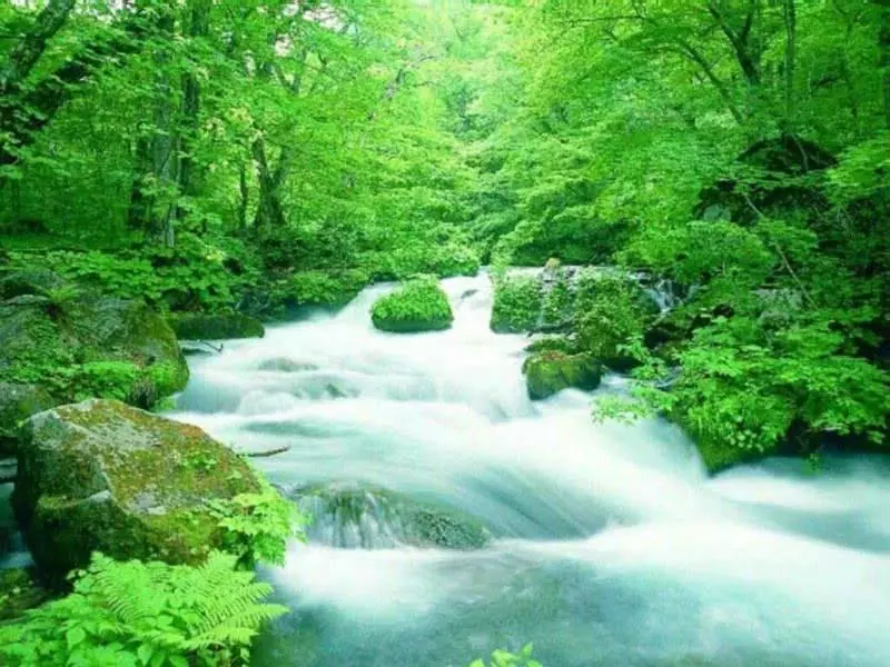 6月劫難已過,這3大生肖7月財運翻一番,桃花旺,事業旺