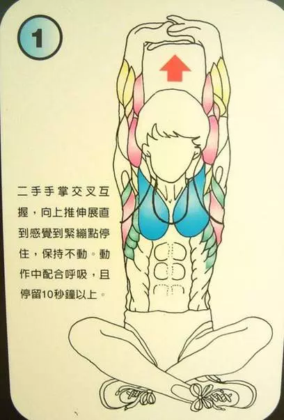 每天拉筋3個月瘦 10公斤這「12式全身伸展操」一定要記起來