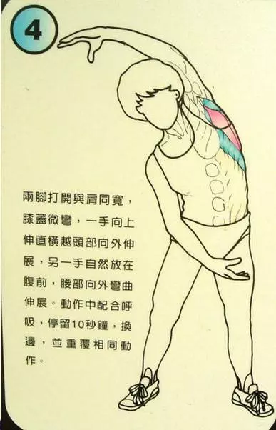 每天拉筋3個月瘦 10公斤這「12式全身伸展操」一定要記起來
