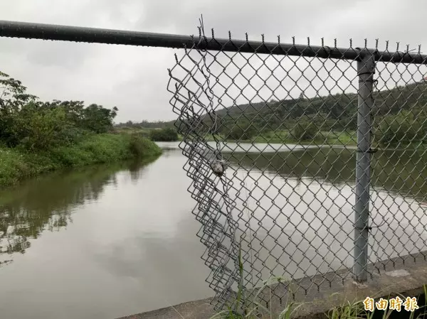 驚!桃園池邊發現死豬 桃市農業局採檢體送驗