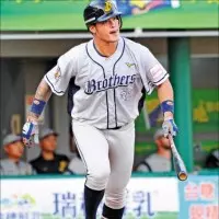 驚!桃園池邊發現死豬 桃市農業局採檢體送驗
