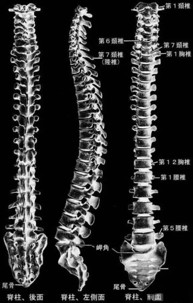 手麻、頭暈、頭痛…你有沒有想過其實是頸椎問題?趕緊看看自己到了第幾級頸椎問題吧! 頸椎病的10個級別,你在哪一級?