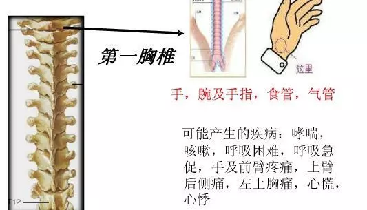 手麻、頭暈、頭痛…你有沒有想過其實是頸椎問題?趕緊看看自己到了第幾級頸椎問題吧! 頸椎病的10個級別,你在哪一級?