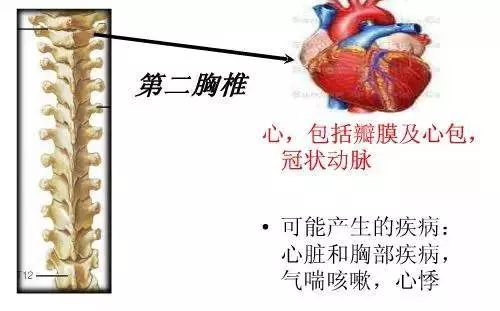 手麻、頭暈、頭痛…你有沒有想過其實是頸椎問題?趕緊看看自己到了第幾級頸椎問題吧! 頸椎病的10個級別,你在哪一級?