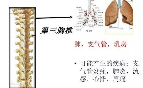 手麻、頭暈、頭痛…你有沒有想過其實是頸椎問題?趕緊看看自己到了第幾級頸椎問題吧! 頸椎病的10個級別,你在哪一級?
