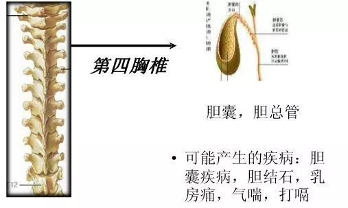 手麻、頭暈、頭痛…你有沒有想過其實是頸椎問題?趕緊看看自己到了第幾級頸椎問題吧! 頸椎病的10個級別,你在哪一級?