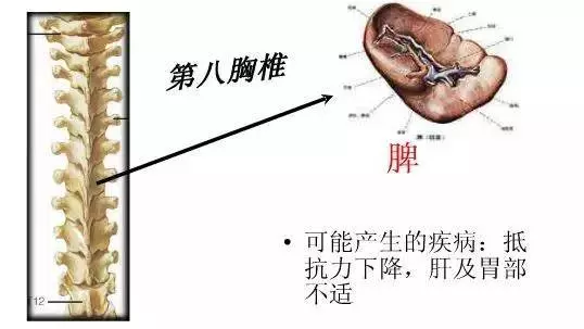 手麻、頭暈、頭痛…你有沒有想過其實是頸椎問題?趕緊看看自己到了第幾級頸椎問題吧! 頸椎病的10個級別,你在哪一級?