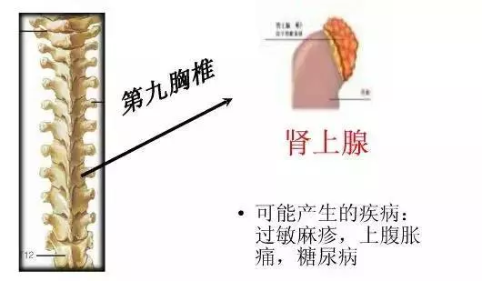 手麻、頭暈、頭痛…你有沒有想過其實是頸椎問題?趕緊看看自己到了第幾級頸椎問題吧! 頸椎病的10個級別,你在哪一級?