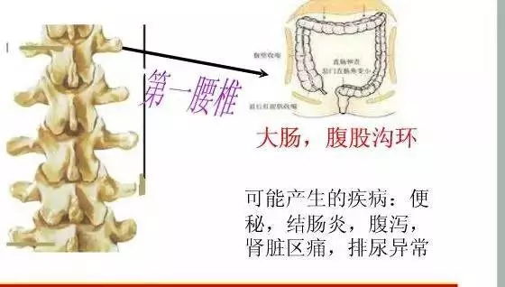 手麻、頭暈、頭痛…你有沒有想過其實是頸椎問題?趕緊看看自己到了第幾級頸椎問題吧! 頸椎病的10個級別,你在哪一級?