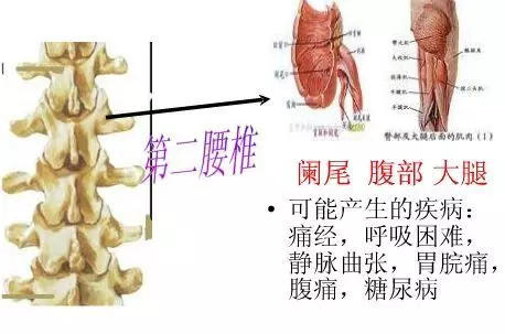手麻、頭暈、頭痛…你有沒有想過其實是頸椎問題?趕緊看看自己到了第幾級頸椎問題吧! 頸椎病的10個級別,你在哪一級?