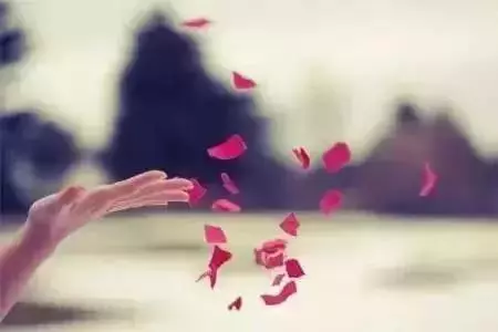三個桶!(故事雖短,受益終生)
