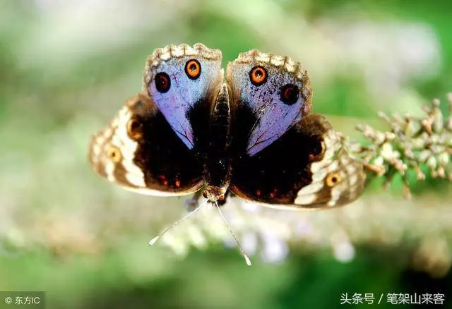 一個家庭的破碎,從「嘴賤」的那位開始