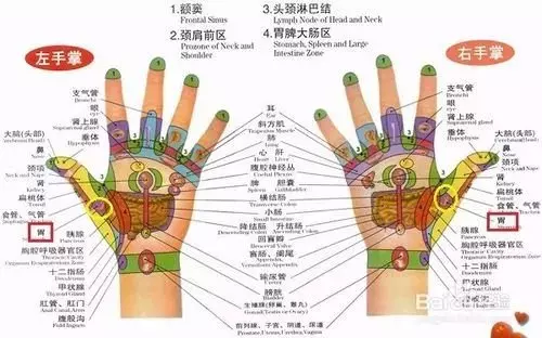立冬後,天天這樣拍,調節五臟六腑,根本不用補!