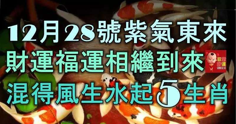 12月28號起,紫氣東來,財運、福運相繼到來,混得風生水起的5大生肖!