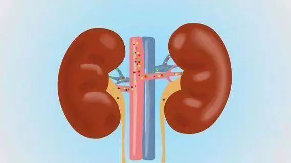 腎好身題才健康,保養腎臟謹記睡前「兩不要」!