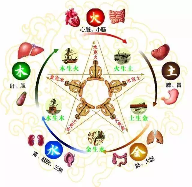 肝不好,人易老 養肝護肝,多喝這6種茶