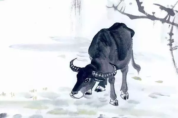 十二生肖各有各命,你是什麼命。