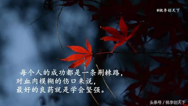 成功不是擊敗別人,而是改變自己,學會這10句話,孩子受用一生!