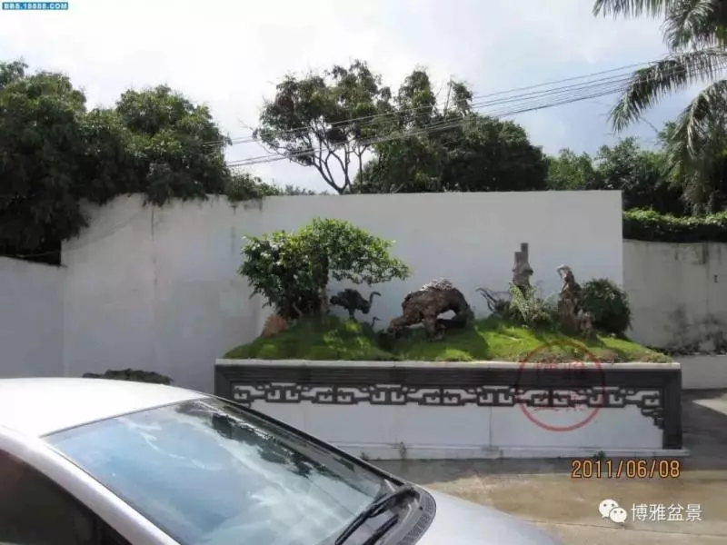 吳成發談盆景養護與管理