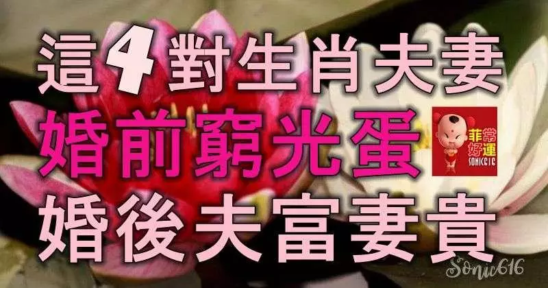 這4對生肖夫妻,婚前窮光蛋,婚後夫富妻貴