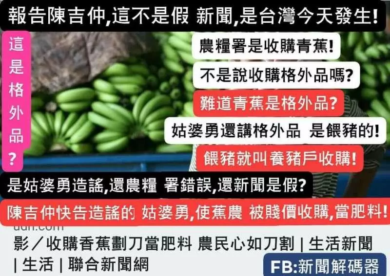報告陳吉仲這不是假新聞,是台灣今天的!! 農糧署是收購未催熟的青蕉喔!! 不是說要收購格外品,怎收購青蕉?