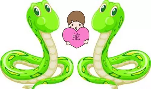 屬蛇人:2019年一定要避開這件事,家裡有屬蛇的朋友快通知他