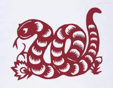 屬蛇人:2019年一定要避開這件事,家裡有屬蛇的朋友快通知他