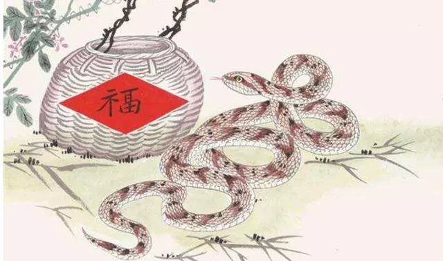 屬蛇人:2019年一定要避開這件事,家裡有屬蛇的朋友快通知他