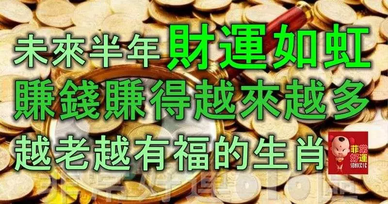 未來半年,財運如虹,賺錢賺得越來越多,越老越有福的生肖