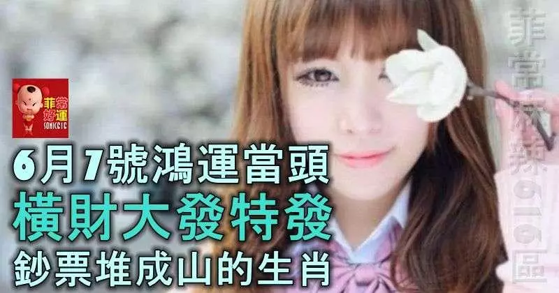 6月7號鴻運當頭,財神偏愛,橫財大發特發,鈔票堆成山的生肖