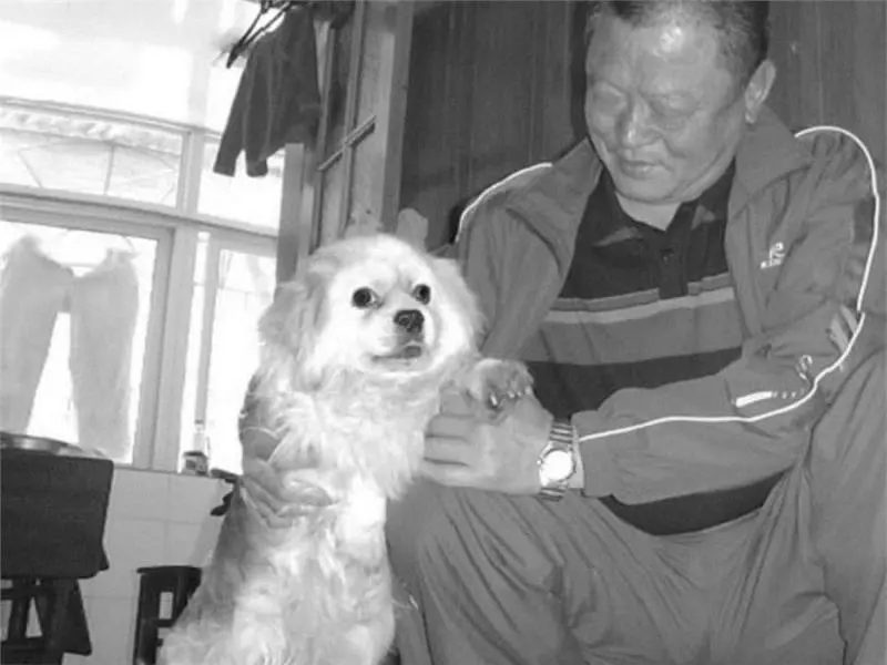 「謝謝你救了我」,淩晨1點,歹徒溜進女孩的房間,驚險之際幸得「它」現身解救